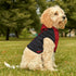 ZV Code Red Dog Hoodie - THE ZEN VIKING