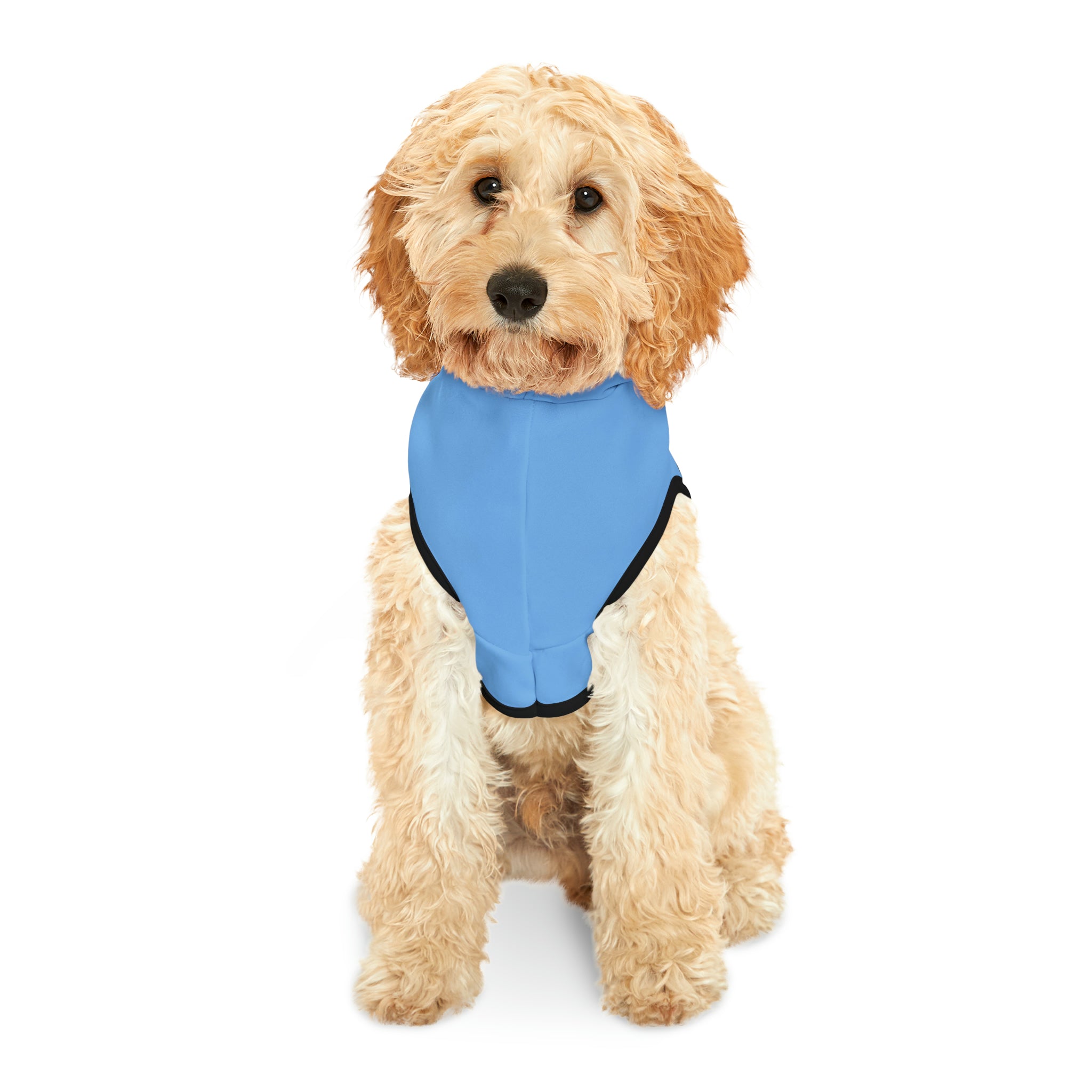 ZV Blue Smash Dog Hoodie - THE ZEN VIKING