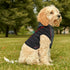 ZV Code Red Grey Dog Hoodie - THE ZEN VIKING